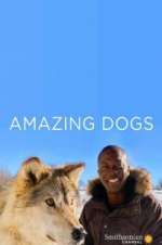 Watch Amazing Dogs Fmovies