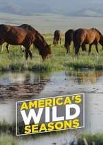 Watch America's Wild Seasons Fmovies