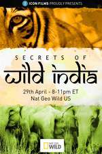 Watch Secrets of Wild India Fmovies