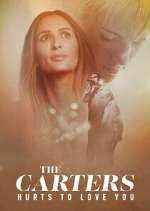 Watch The Carters: Hurts To Love You Fmovies