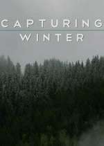 Watch Capturing Winter Fmovies