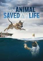 Watch An Animal Saved My Life Fmovies