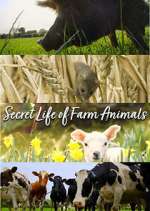 Watch Secret Life of Farm Animals Fmovies