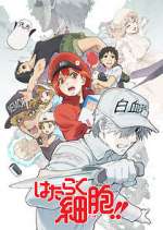 Watch Cells at Work! Fmovies