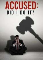 accused: did i do it? tv poster
