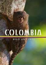 Watch Colombia: Wild and Free Fmovies