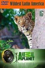 Watch Wildest Latin America Fmovies