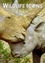 Watch Wildlife Icons Fmovies