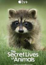 Watch The Secret Lives of Animals Fmovies