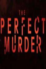 Watch The Perfect Murder Fmovies