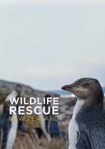 Watch Wildlife Rescue New Zealand Fmovies