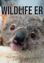 Watch Wildlife ER Fmovies