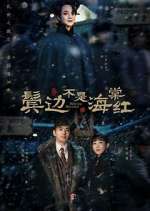 Watch Winter Begonia Fmovies