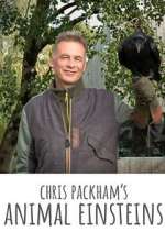 Watch Chris Packham's Animal Einsteins Fmovies