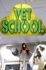 Watch Vet School Fmovies
