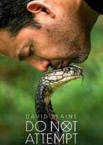 Watch David Blaine Do Not Attempt Fmovies