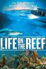 Watch Life on the Reef Fmovies
