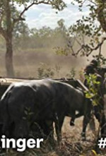 Watch Outback Ringer Fmovies