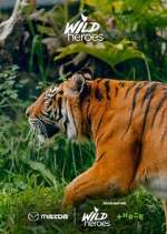 Watch Wild Heroes Fmovies