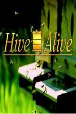Watch Hive Alive Fmovies