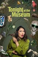 Watch Tonight At The Museum Fmovies