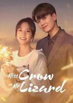 Watch Miss Crow with Mr. Lizard Fmovies