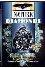 nature season 44 episode 3 tv poster