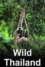 Watch Wild Thailand Fmovies