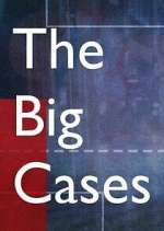 Watch The Big Cases Fmovies