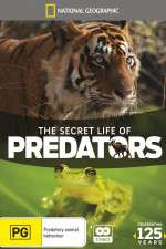 Watch Secret Life of Predators Fmovies
