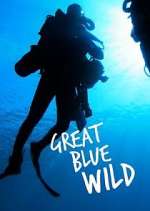 Watch Great Blue Wild Fmovies
