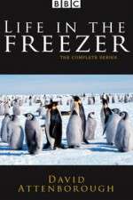Watch Life in the Freezer Fmovies