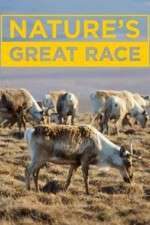 Watch Nature's Great Race Fmovies