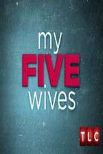 Watch My Five Wives Fmovies