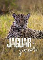 Watch Jaguar Journals Fmovies