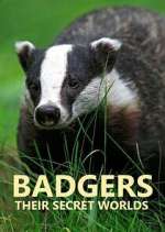 Watch Badgers: Their Secret Worlds Fmovies