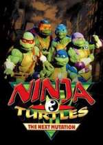 Watch Ninja Turtles: The Next Mutation Fmovies
