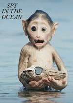 Watch Spy in the Ocean Fmovies