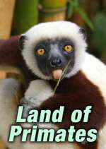 Watch Land of Primates Fmovies