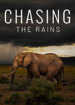 Watch Chasing the Rains Fmovies