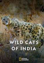 Watch Wild Cats of India Fmovies