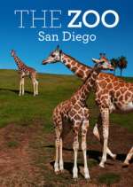 Watch The Zoo: San Diego Fmovies
