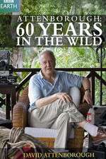 Watch Attenborough 60 Years in the Wild Fmovies