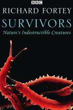 Watch Survivors: Nature's Indestructible Creatures Fmovies
