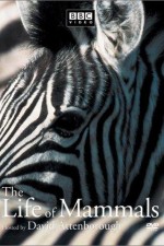 Watch The Life of Mammals Fmovies