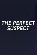 Watch The Perfect Suspect Fmovies