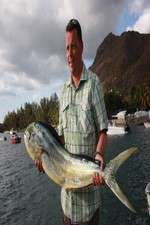 Watch King Fishers Fmovies