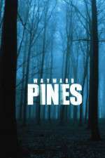 Watch Wayward Pines Fmovies