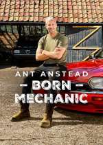 Watch Ant Anstead: Born Mechanic Fmovies