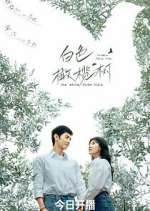 Watch The White Olive Tree Fmovies